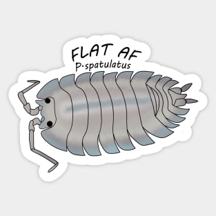 P.spatulatus Flat AF Sticker